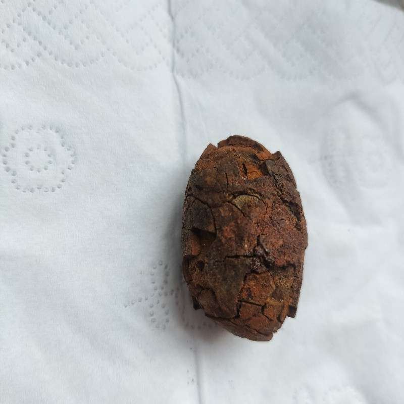中药材