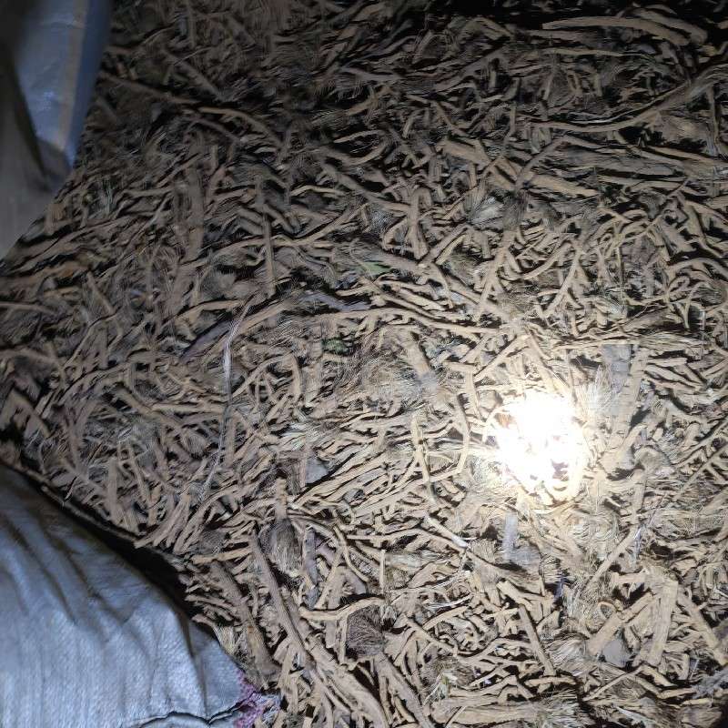 中药材
