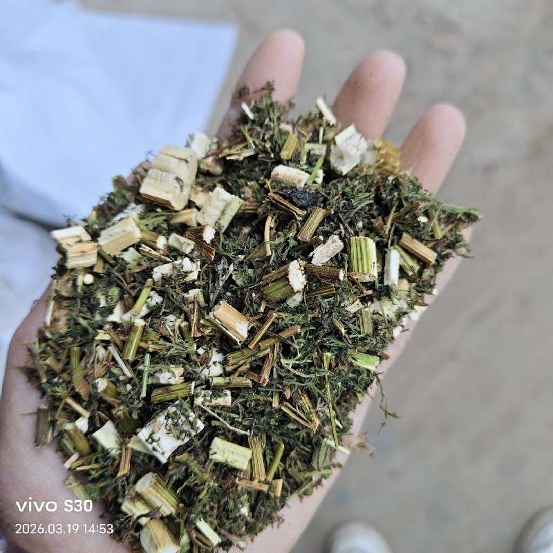 中药材