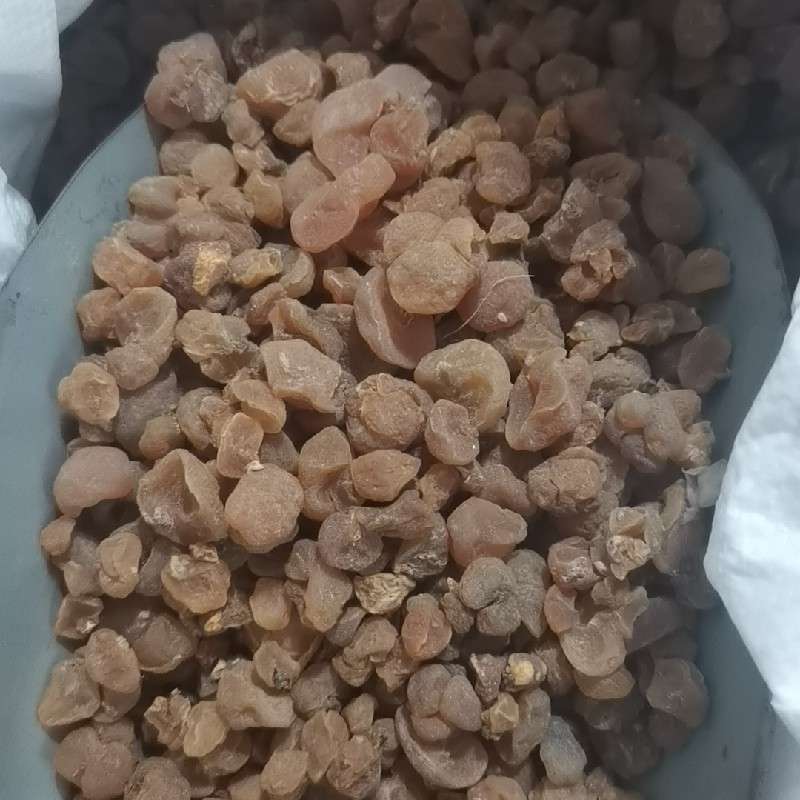 中药材