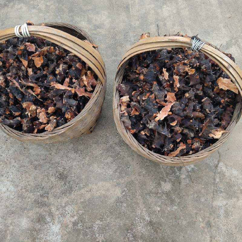 中药材