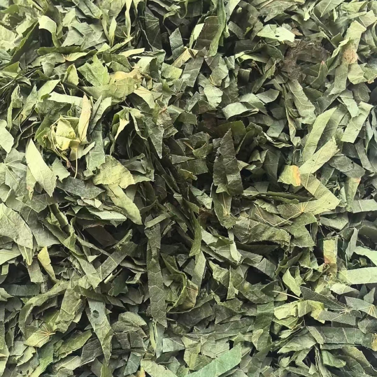 中药材