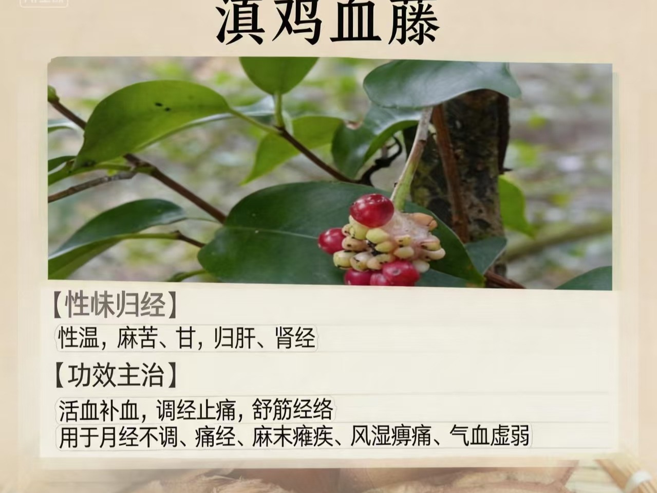 中药材