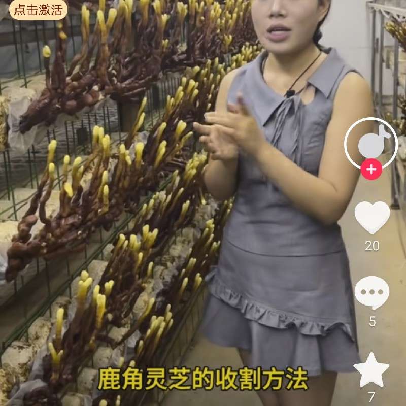 中药材
