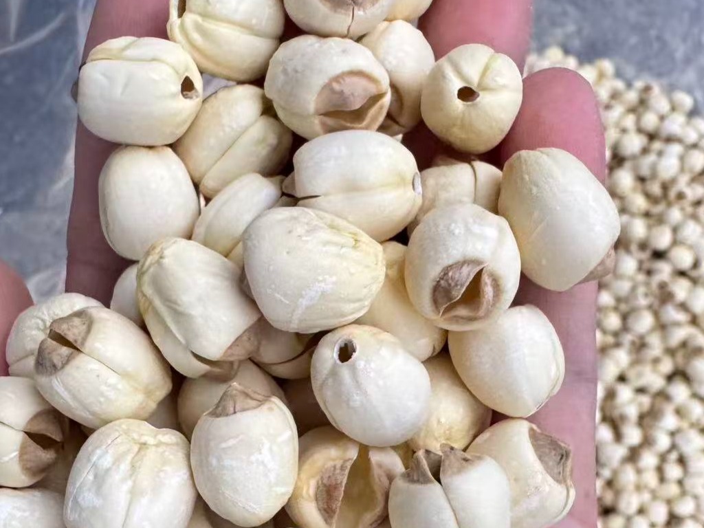 中药材