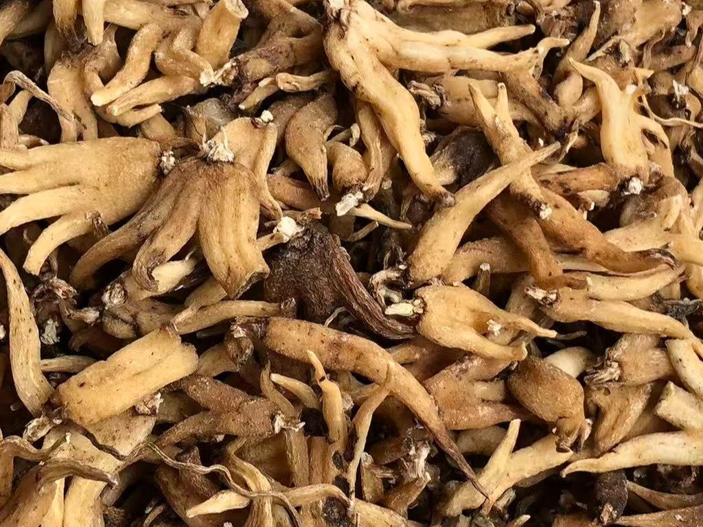 中药材