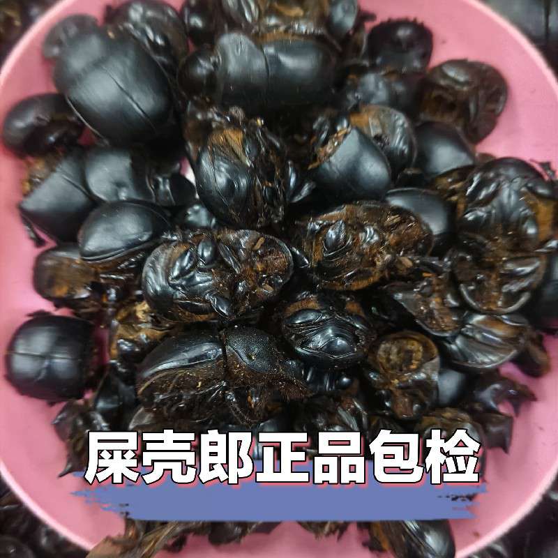 中药材