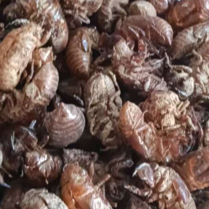 中药材