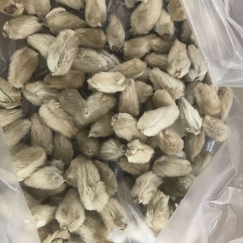 中药材