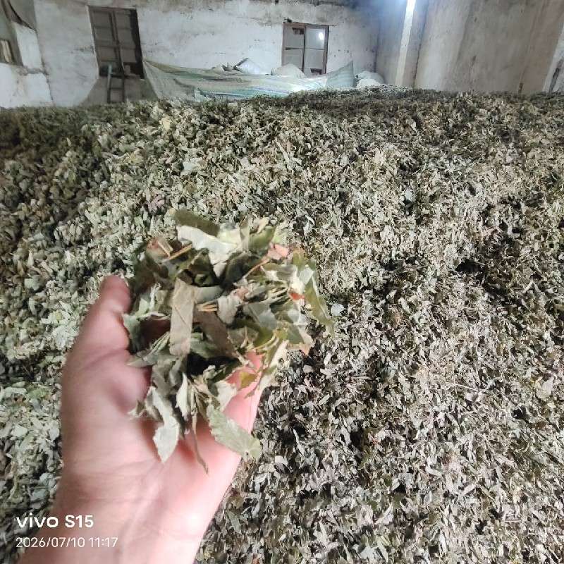 中药材