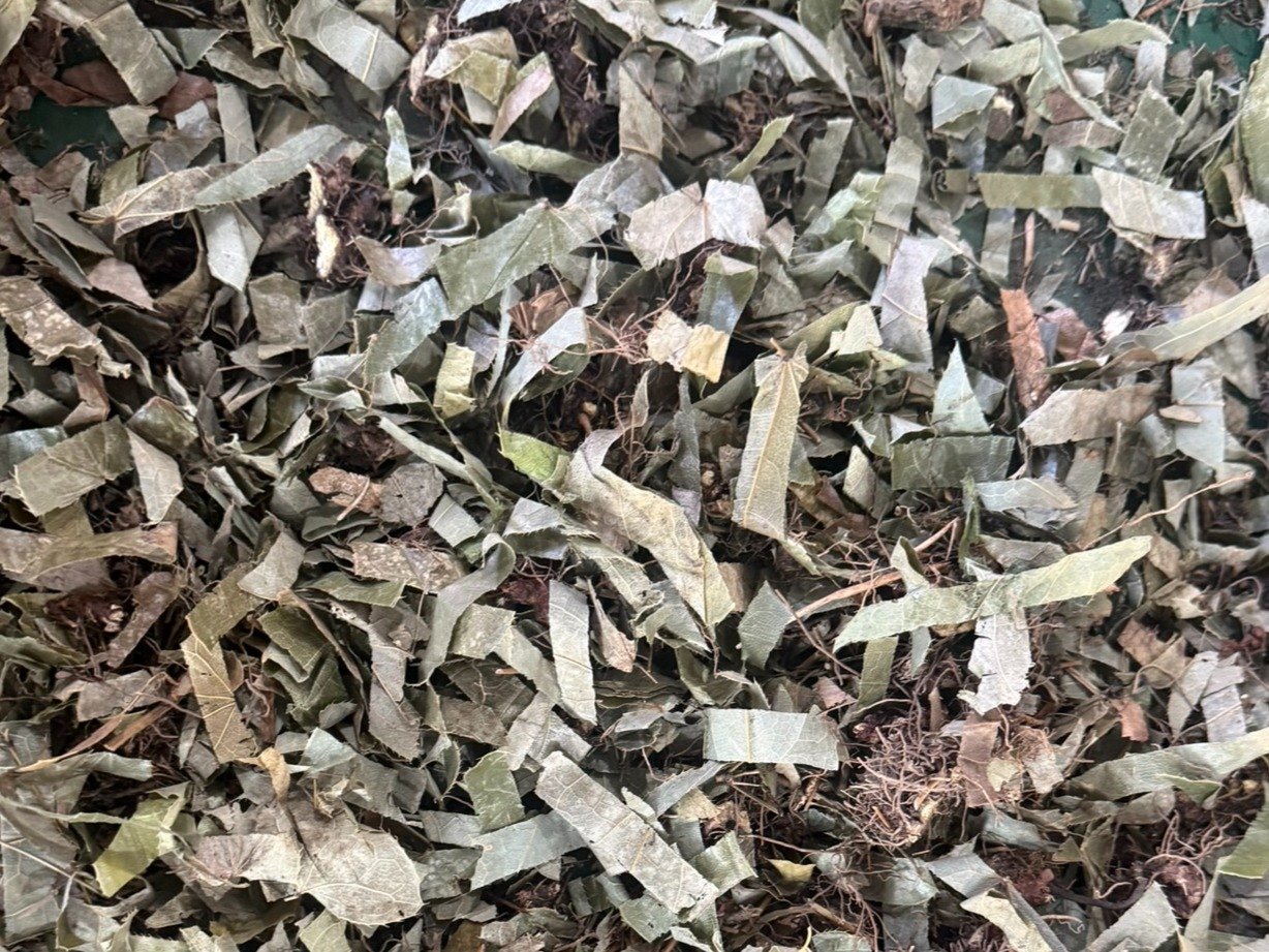 中药材