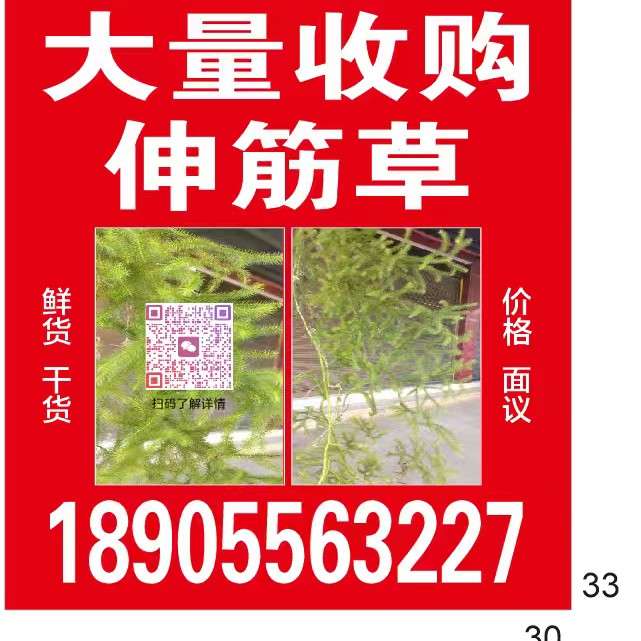 中药材