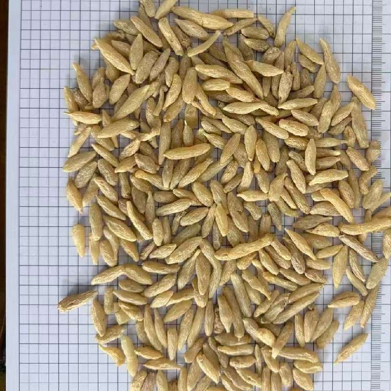 中药材