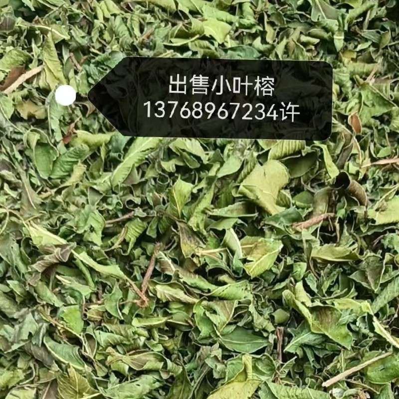 中药材