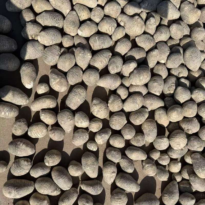中药材