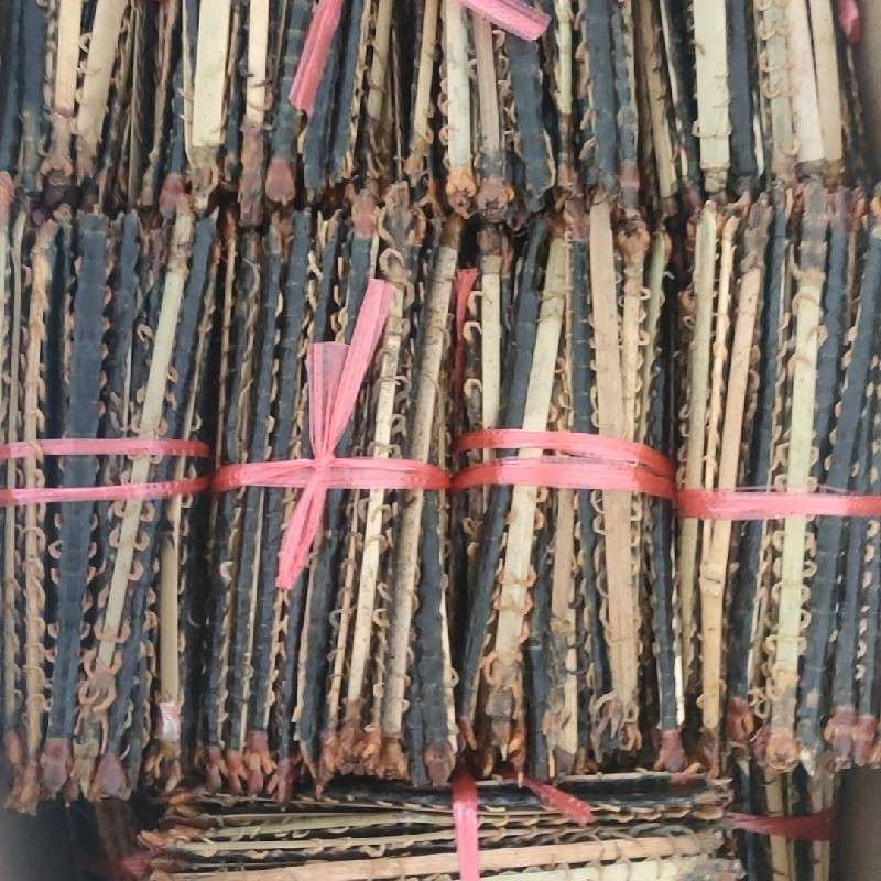 中药材