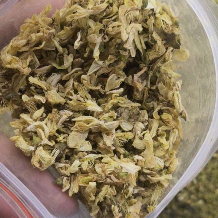 中药材