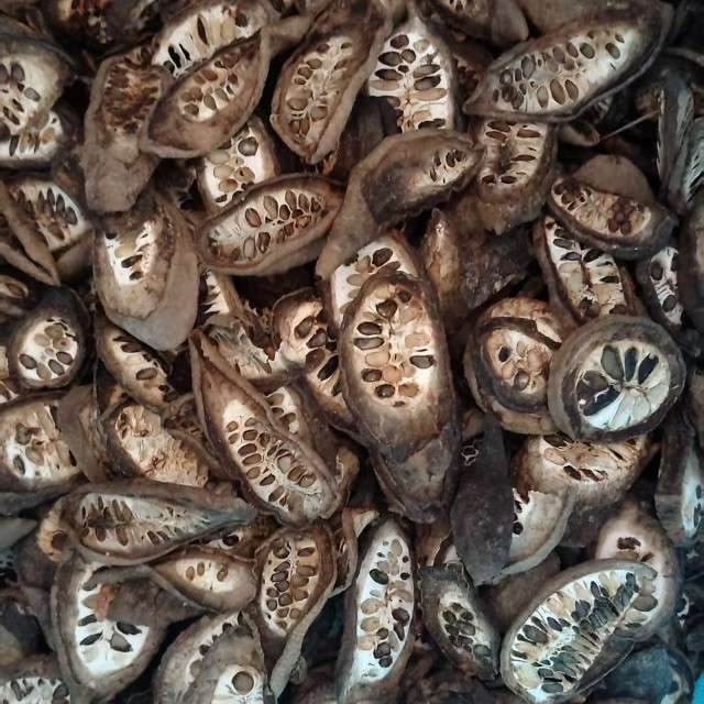 中药材