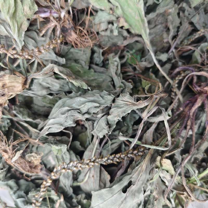 中药材
