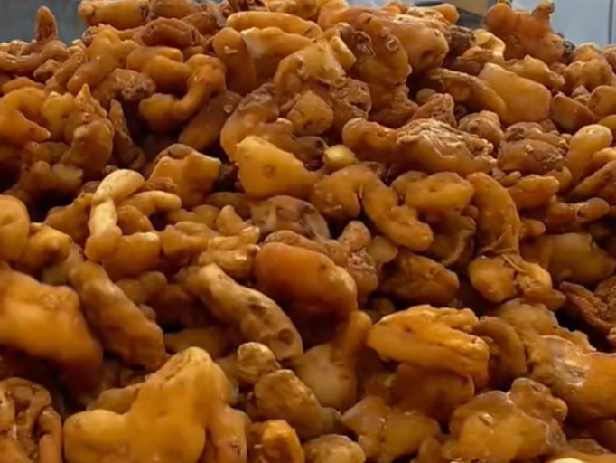 中药材