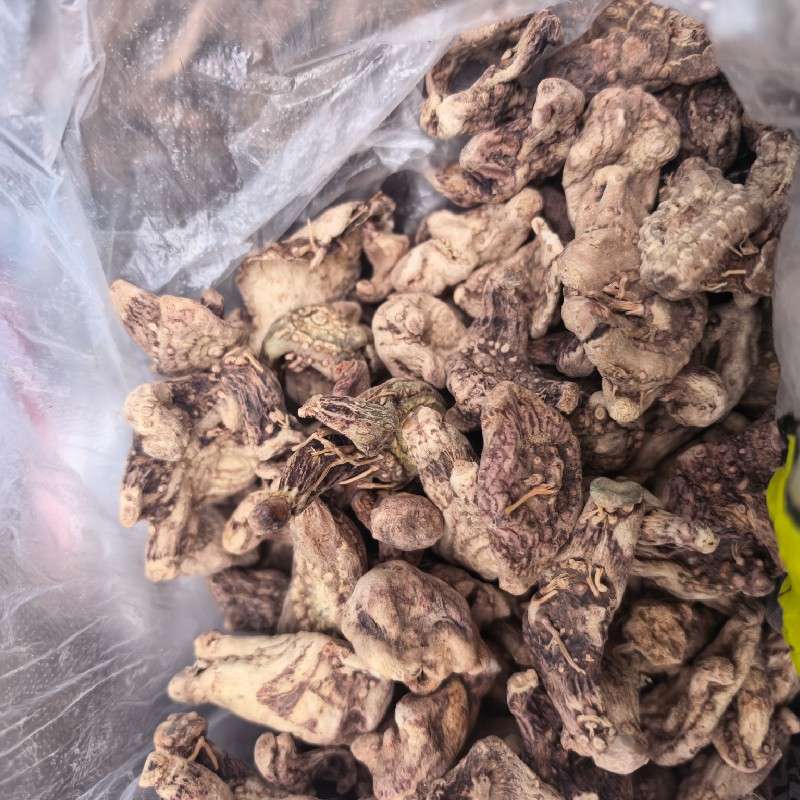 中药材