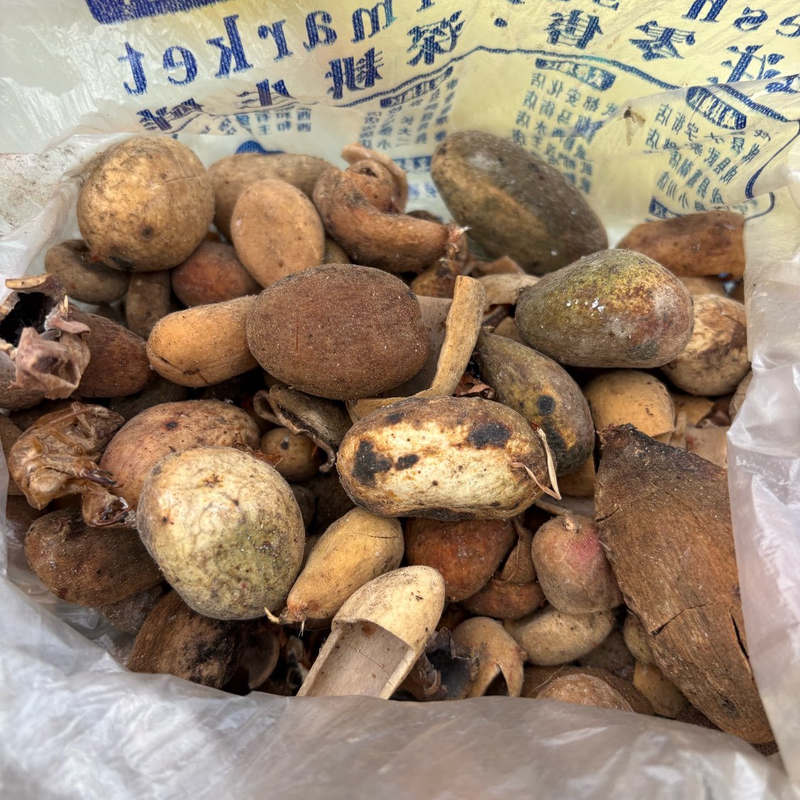 中药材