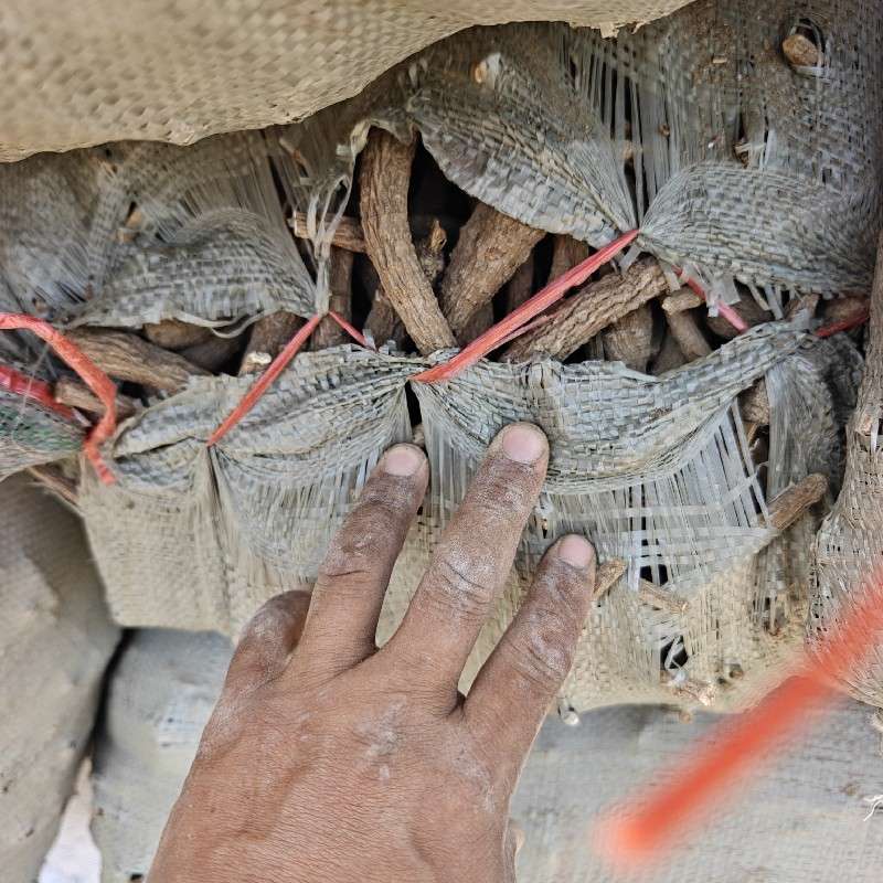 中药材