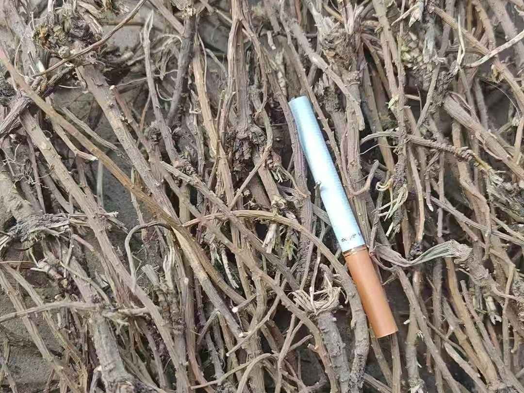 中药材